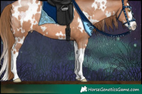 Horse Color:White Spotted Brown Pearl Splash 