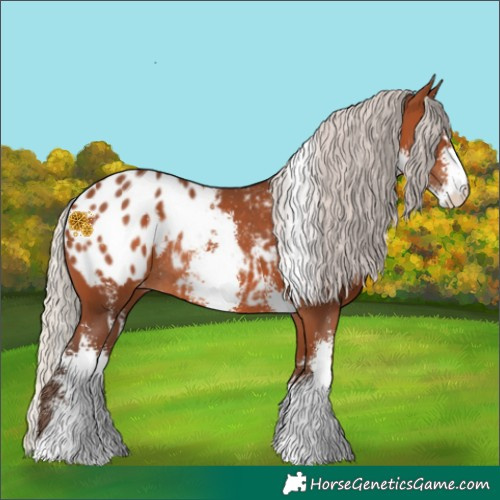 Horse Color:Silver Brown Sabino Blanket Rabicano 