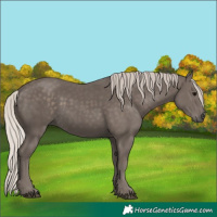 Horse Color:Silver Black
