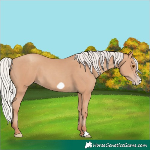 Horse Color:Silver Classic Champagne Frame