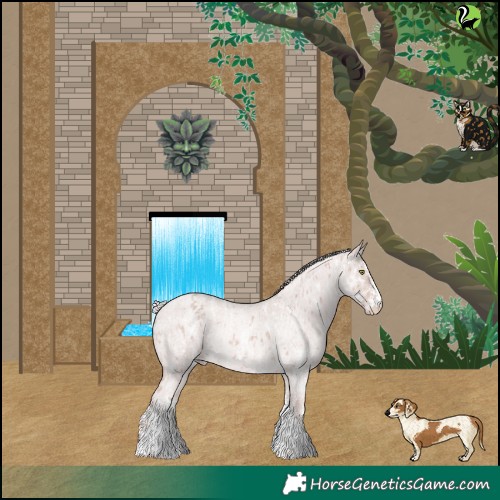 Horse Color:Platinum Chestnut Splash Tobiano Near Leopard  and Platinum White Spotted Gold Cream Champagne Roan Rabicano 