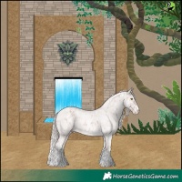 Horse Color:Platinum Chestnut Splash Tobiano Appaloosa  and Platinum White Spotted Gold Cream Champagne Roan Rabicano 