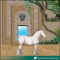 Horse Color:Platinum Chestnut Splash Tobiano Near Leopard  and Platinum White Spotted Gold Cream Champagne Roan Rabicano 