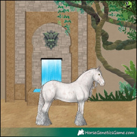 Horse Color:Platinum Chestnut Splash Tobiano Near Leopard  and Platinum White Spotted Gold Cream Champagne Roan Rabicano 