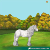Horse Color:Platinum Chestnut Splash Tobiano Appaloosa and Platinum White Spotted Gold Cream Champagne Roan Rabicano
