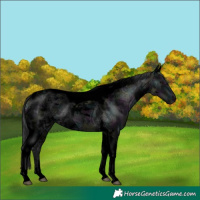 Horse Color:Void Midnight Black Ice Tobiano 