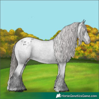 Horse Color:Black Varnish Rabicano 