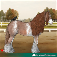 Horse Color:White Spotted Chestnut Sabino 