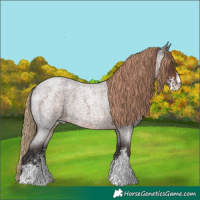 Horse Color:Liver Red Roan Sabino 