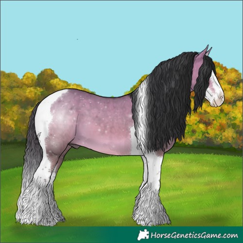 Horse Color:Brown Dun Splash Tobiano 