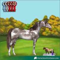 Horse Color:Platinum White Spotted Chocolate Brown Dun 