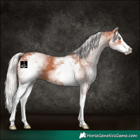 Horse Color:White Spotted Silver Bay Splash 