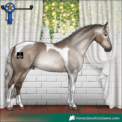 Horse Color:Gray Silver Grullo Tobiano 