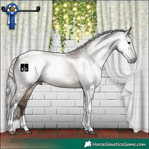 Horse Color:Gray Silver Grullo Tobiano 