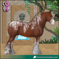 Horse Color:Powder White Chocolate Silver Bay 