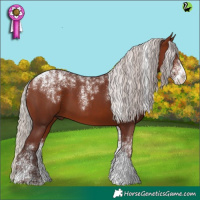 Horse Color:Powder White Chocolate Silver Bay
