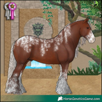 Horse Color:Powder White Chocolate Silver Bay