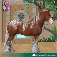 Horse Color:Powder White Chocolate Silver Bay 