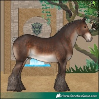 Horse Color:Silver Brown