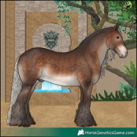Horse Color:Silver Brown