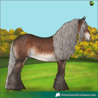 Horse Color:Silver Brown