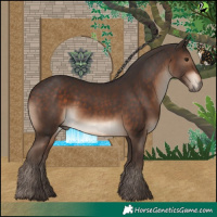 Horse Color:Silver Brown 