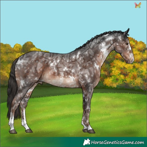 Horse Color:White Spotted Liver Chestnut Ice Sabino 