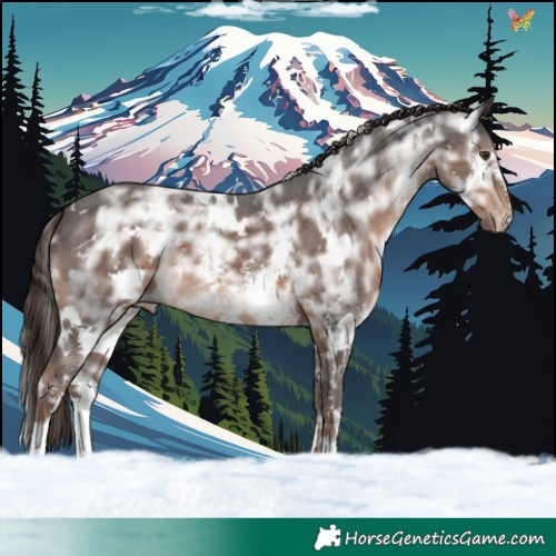 Horse Color:White Spotted Liver Chestnut Ice Sabino 
