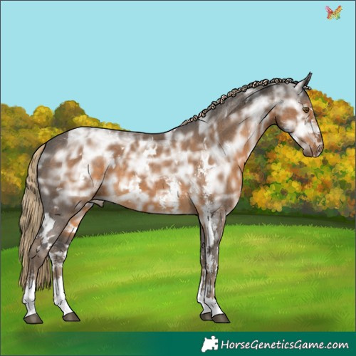 Horse Color:White Spotted Chocolate Palomino Ice Sabino 