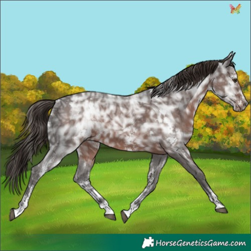 Horse Color:White Spotted Liver Chestnut Ice Sabino 