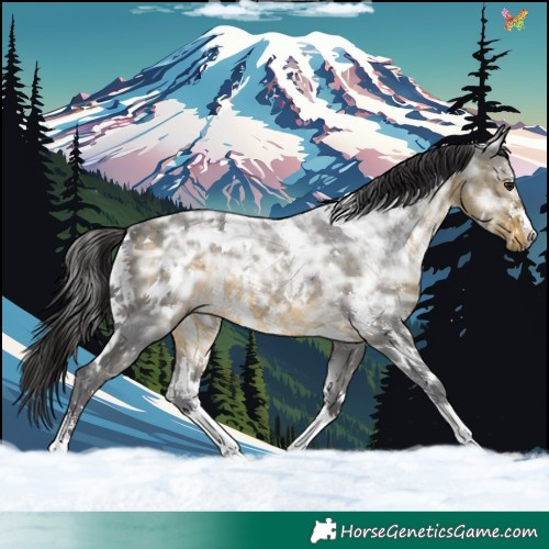 Horse Color:White Spotted Buckskin Ice Sabino 
