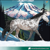 Horse Color:White Spotted Brown Ice Sabino 