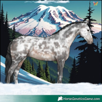 Horse Color:White Spotted Brown Ice Sabino 