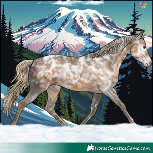 Horse Color:White Spotted Chocolate Palomino Ice Sabino 