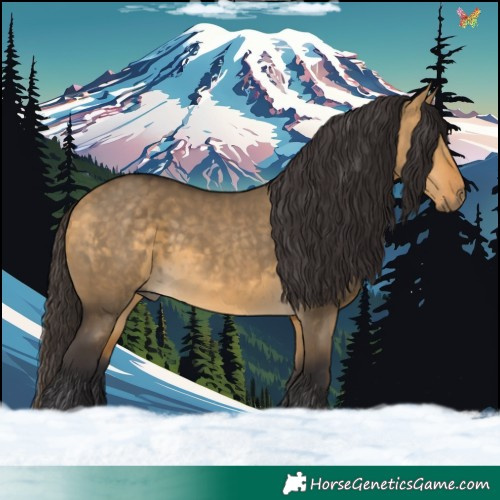 Horse Color:Buckskin Dun 