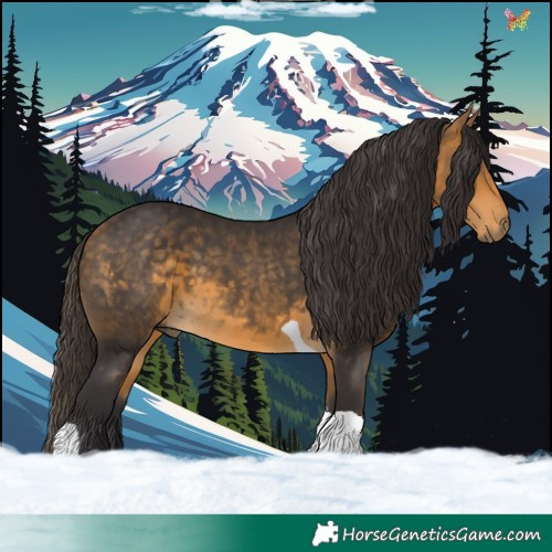 Horse Color:Buckskin Tobiano 