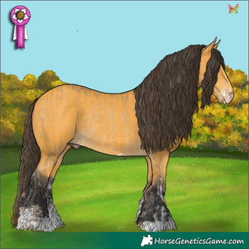 Horse Color:Amber Cream Champagne Sabino  and Buckskin Sabino Rabicano 