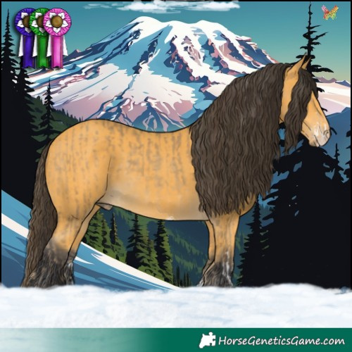 Horse Color:Amber Cream Champagne Sabino  and Buckskin Sabino Rabicano 