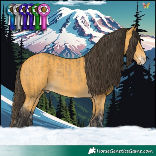 Horse Color:Amber Cream Champagne Sabino  and Buckskin Sabino Rabicano 