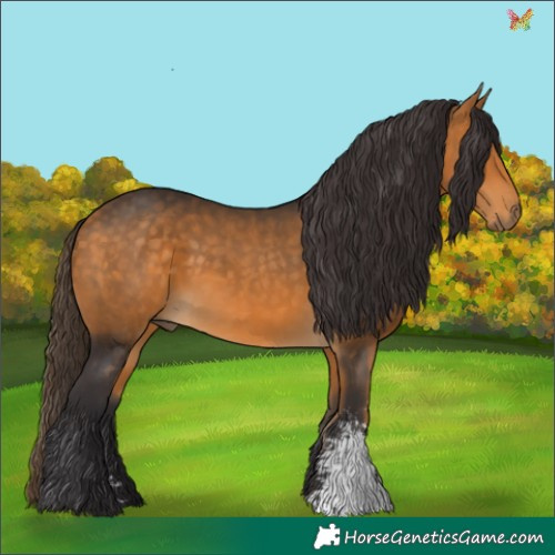 Horse Color:Buckskin Sabino Rabicano 