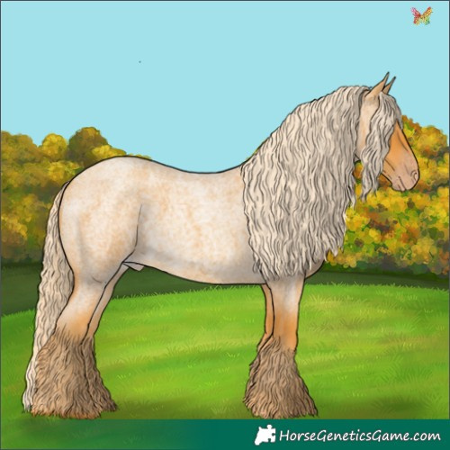 Horse Color:Gold Cream Champagne Roan 