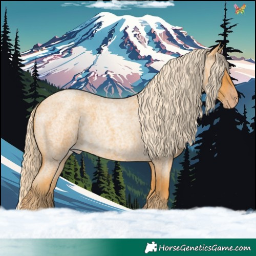 Horse Color:Gold Cream Champagne Roan 