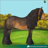 Horse Color:Buckskin 