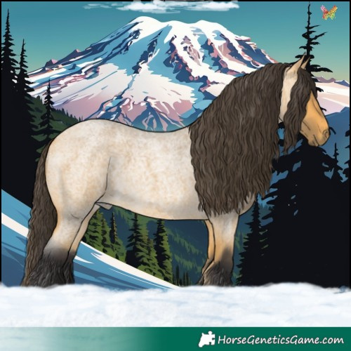 Horse Color:Buckskin Roan 
