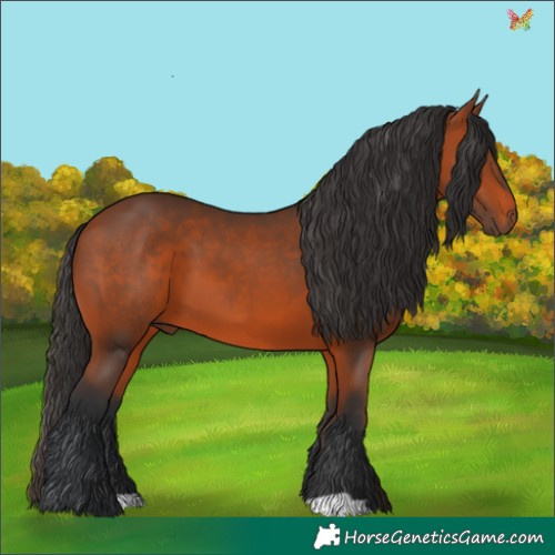 Horse Color:Brown 