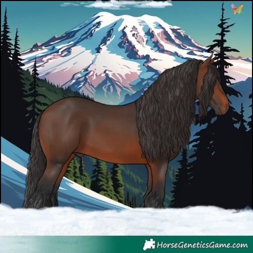 Horse Color:Brown 