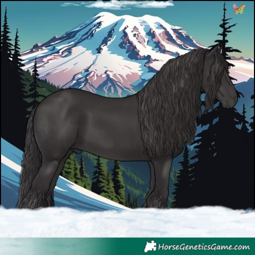Horse Color:Smoky Black 