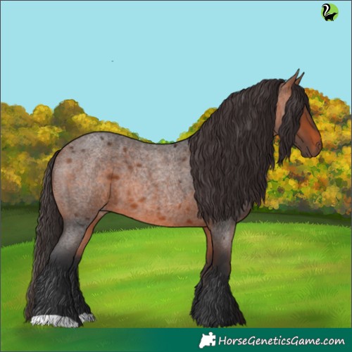 Horse Color:Bay Roan