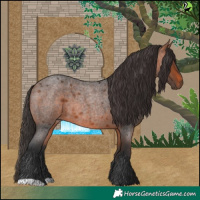 Horse Color:Bay Roan 