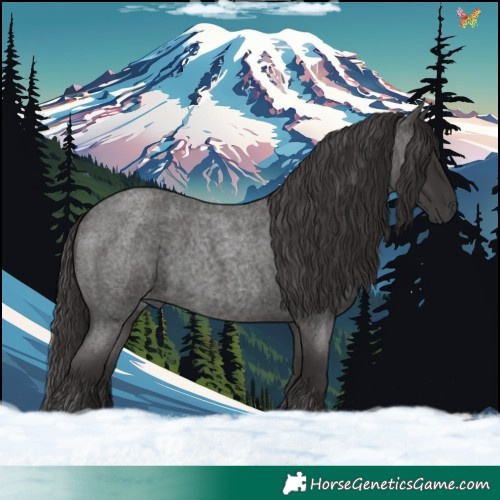 Horse Color:Smoky Blue Roan 